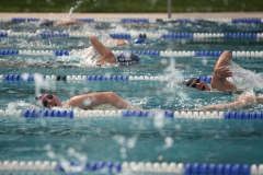 Langstreckenschwimmen 2019