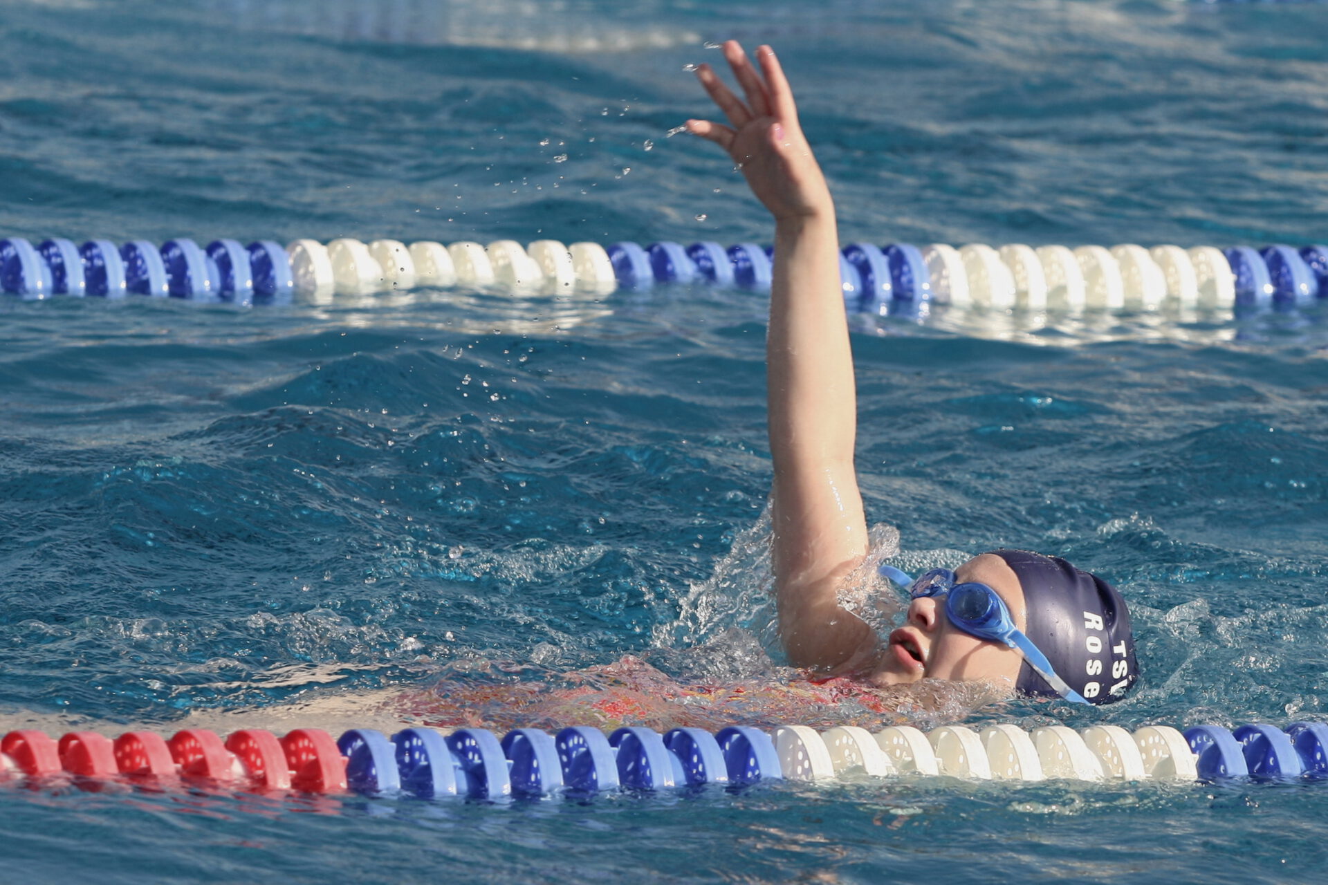 Mehr über den Artikel erfahren Zahlreiche Rosenheimer Schwimmer mit Erfolgen beim Pokalschwimmen in Neufahrn