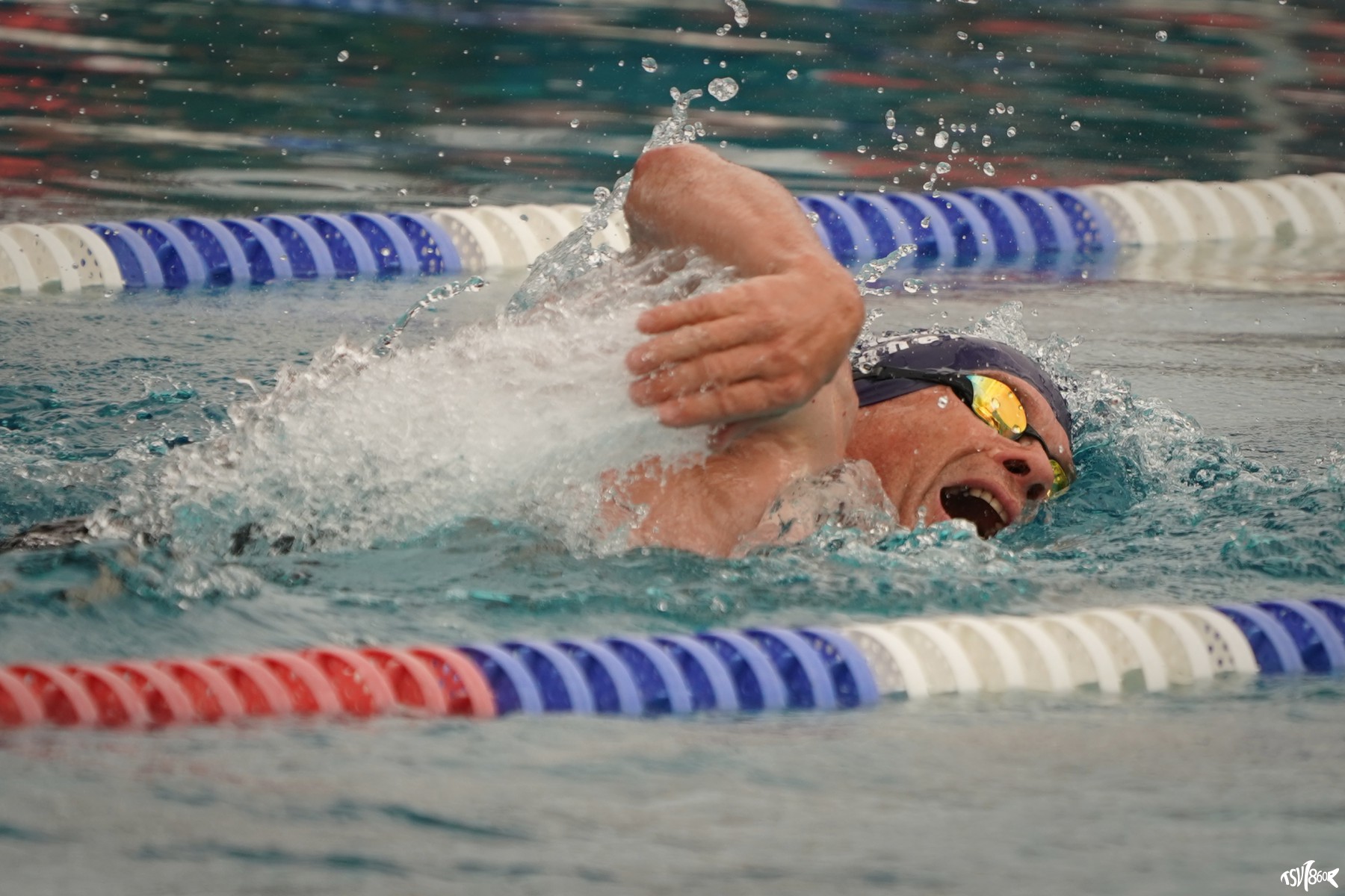 Mehr über den Artikel erfahren Rosenheimer Schwimmer mit Erfolgen in Neufahrn