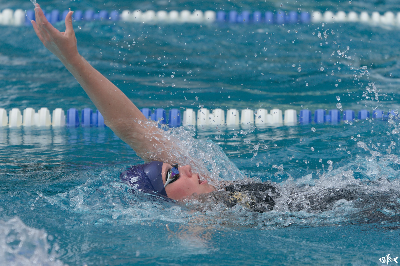 Du betrachtest gerade Titel, Medaillen und neue Bestzeiten bei den OBB Kurzbahnmeisterschaften